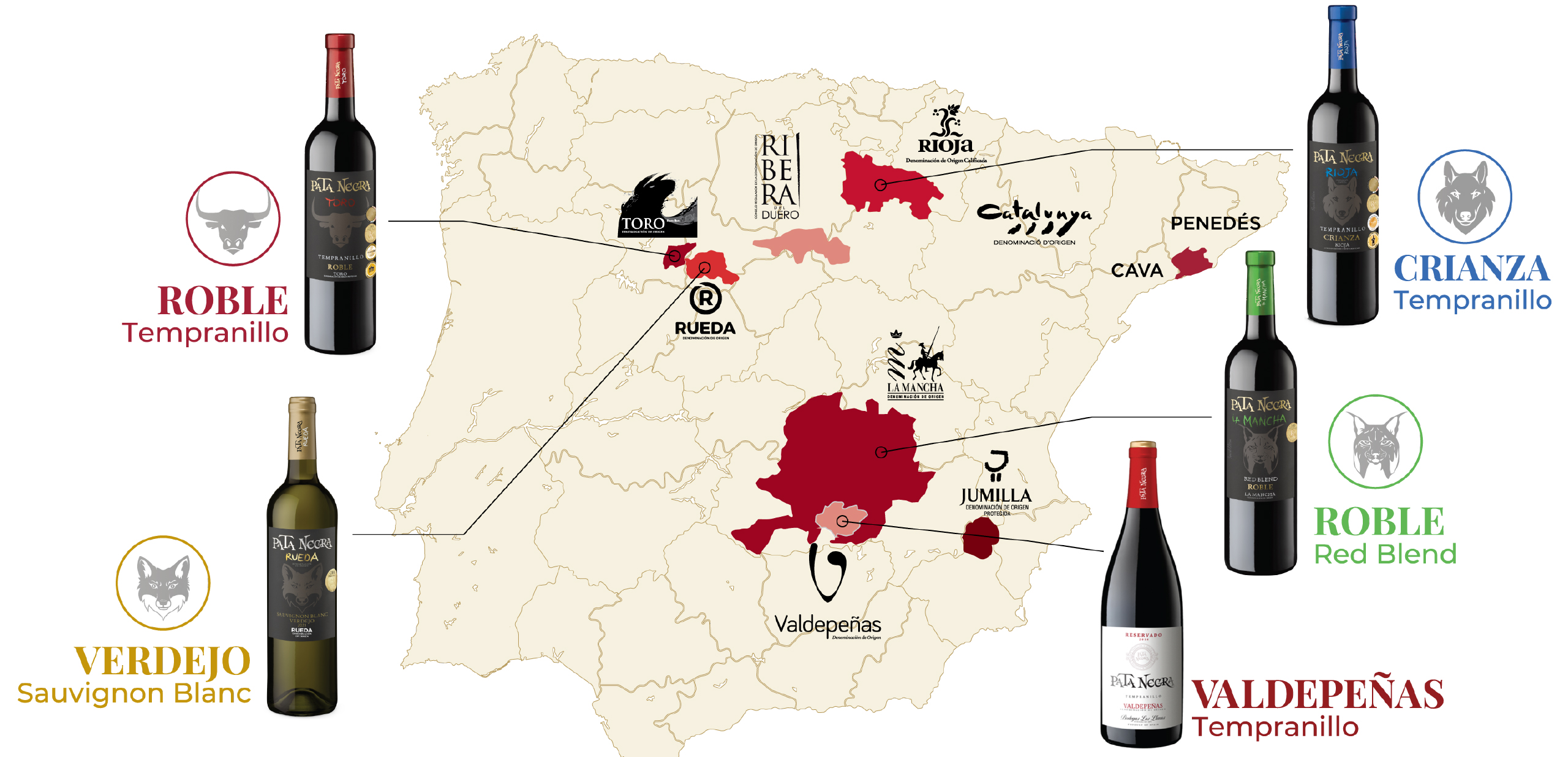 A map of Spain highlighting key wine regions with images of wine bottles labeled Roble Tempranillo, Verdejo Sauvignon Blanc, Crianza Tempranillo, Roble Red Blend, and Valdepeñas Tempranillo next to their respective regions.